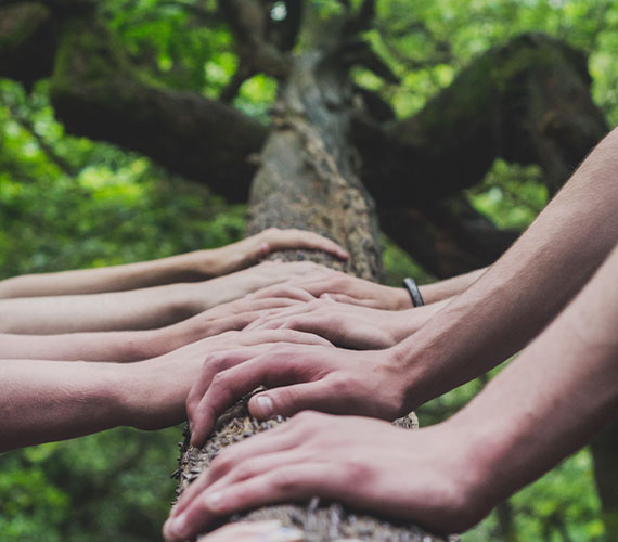 políticas de desarrollo sustentable, empresas amigables con el medio ambiente, gestión de residuos y desperdicios para ser sustentable