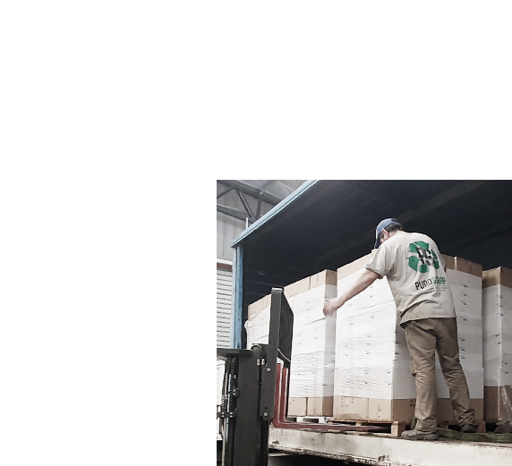 recolección, reciclaje y destrucción de mercadería obsoleta en argentina