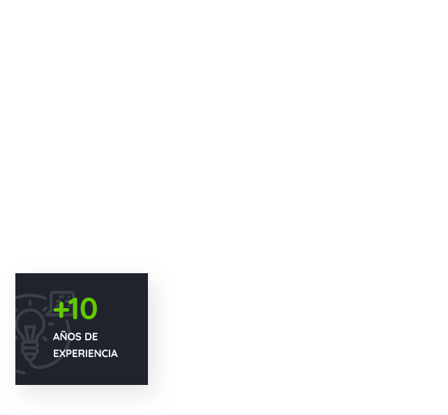 empresa con experiencia para manejar residuos, donde tirar basura con valor, tiradero de mercadería, destruir mercadería de manera segura