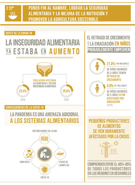 objetivos de desarrollo sostenible de la onu, onu, desarrollo sostenible de la onu
