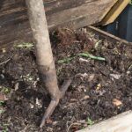 Compost en Casa: todo lo que necesitás saber